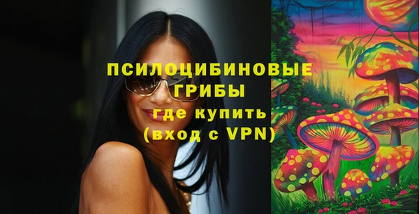 альфа пвп Мурманск